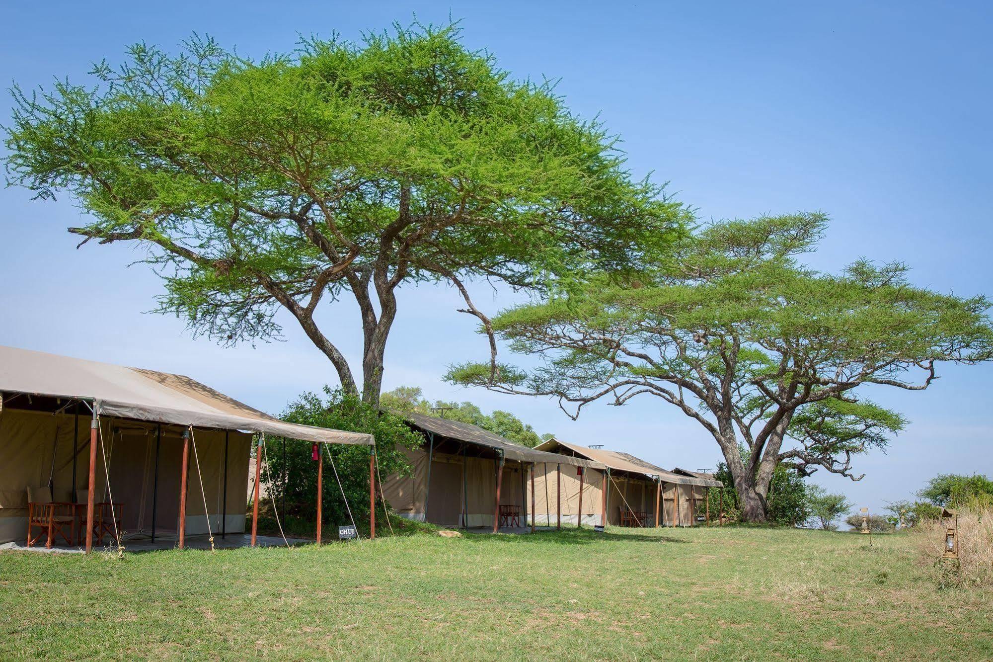 Kisura Serengeti Camp Soronera Buitenkant foto